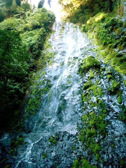 Catarata cubierta de musgo y epífitas en el Parque Nacional La Tigra